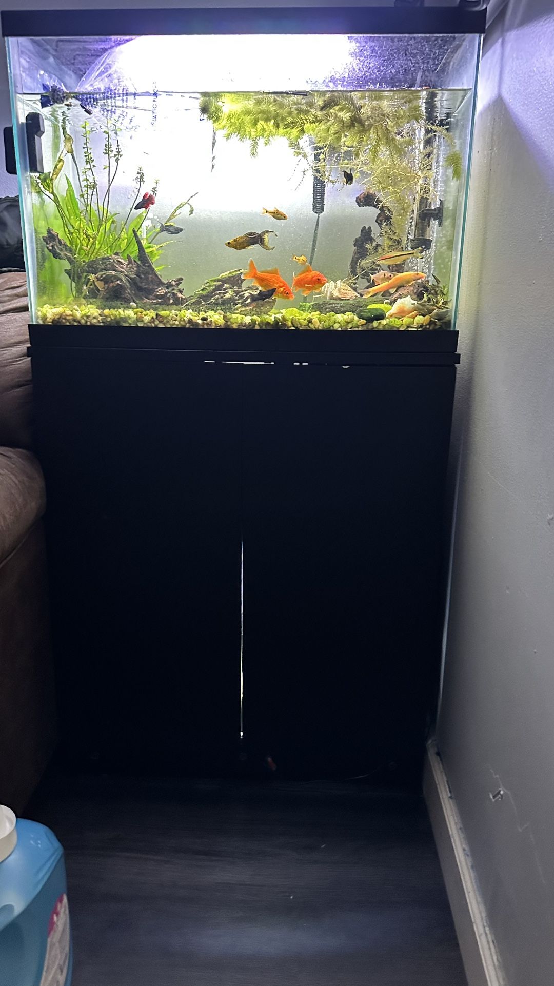 20 Gallon Fish Tank And Stand