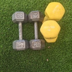 20 Llbs / 12 Lbs Weights