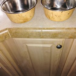Dog Bowls