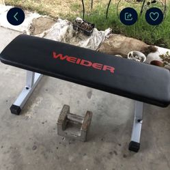 Flat Bench 