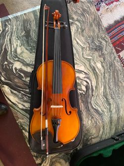 14 Viola solid