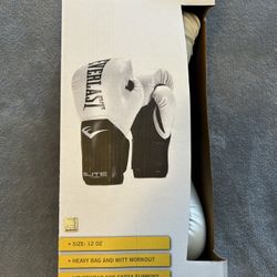 12 oz Everlast Boxing Gloves