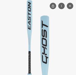 Youth fastpitch softball bat