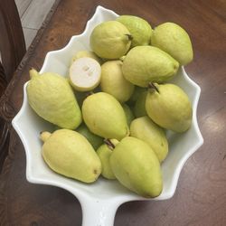 Guayabas Organicas 
