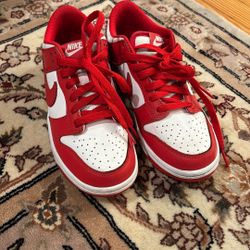 Brand New Nike Dunks 4.5Y