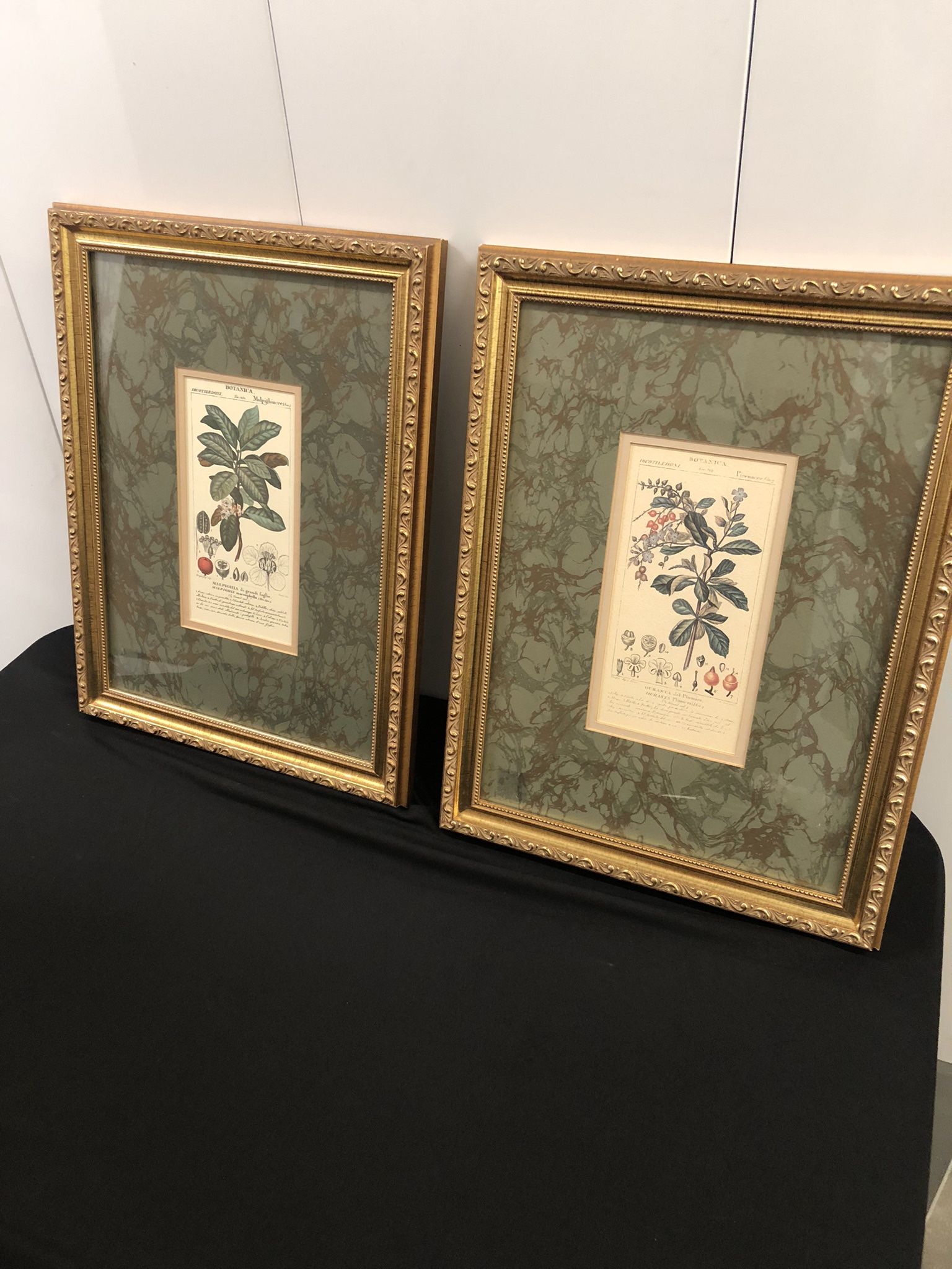 Framed botanical Italian Prints By Paragon Picture Gallery