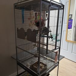 Bird Cage 