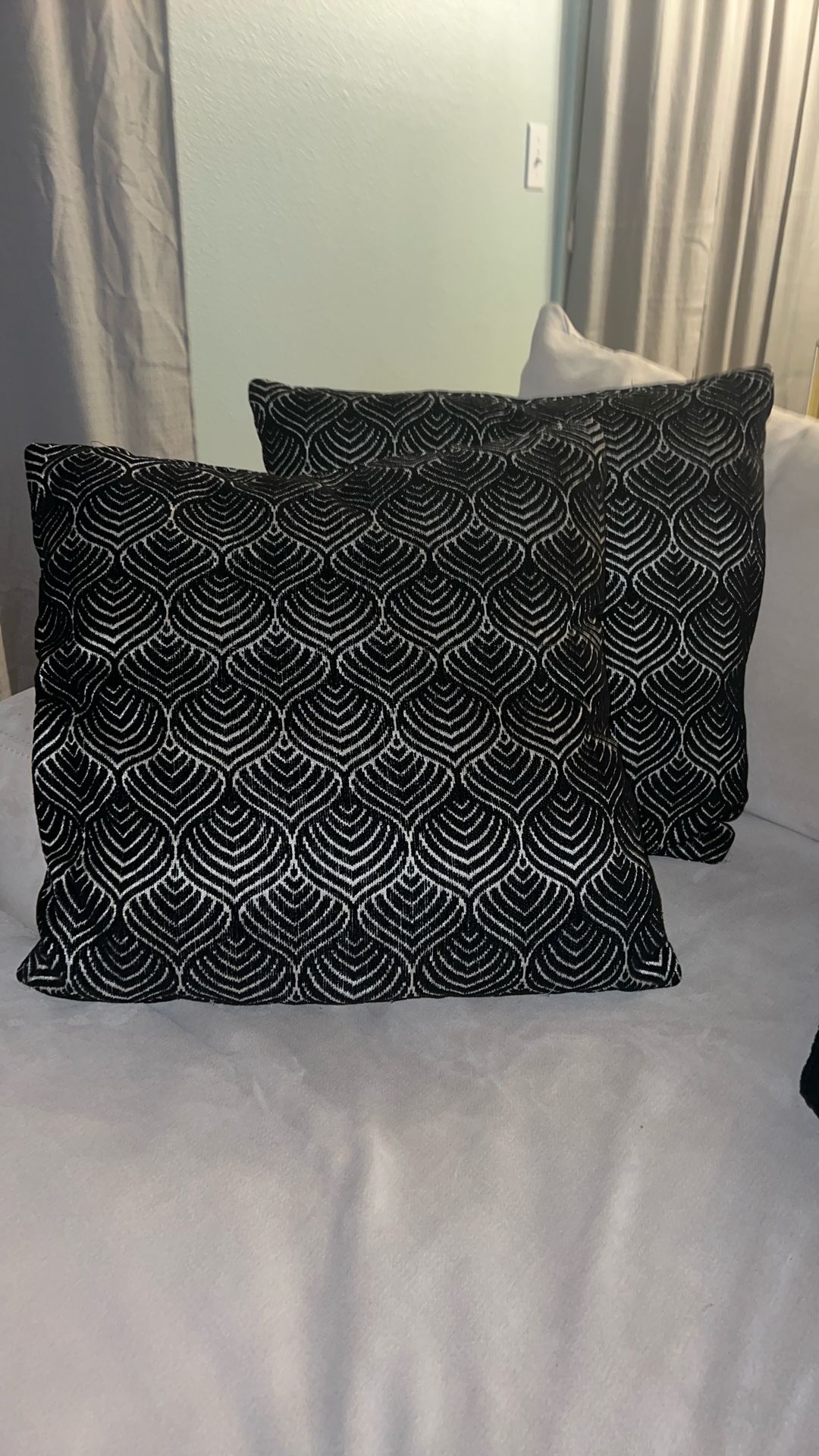 2 Sofa Pillows $15 for Both