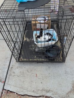 Large pet crate /cage box of hay