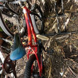 Free Kids Bike 16’