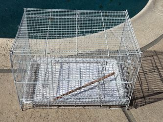 Bird Cage