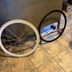 Bike Rims