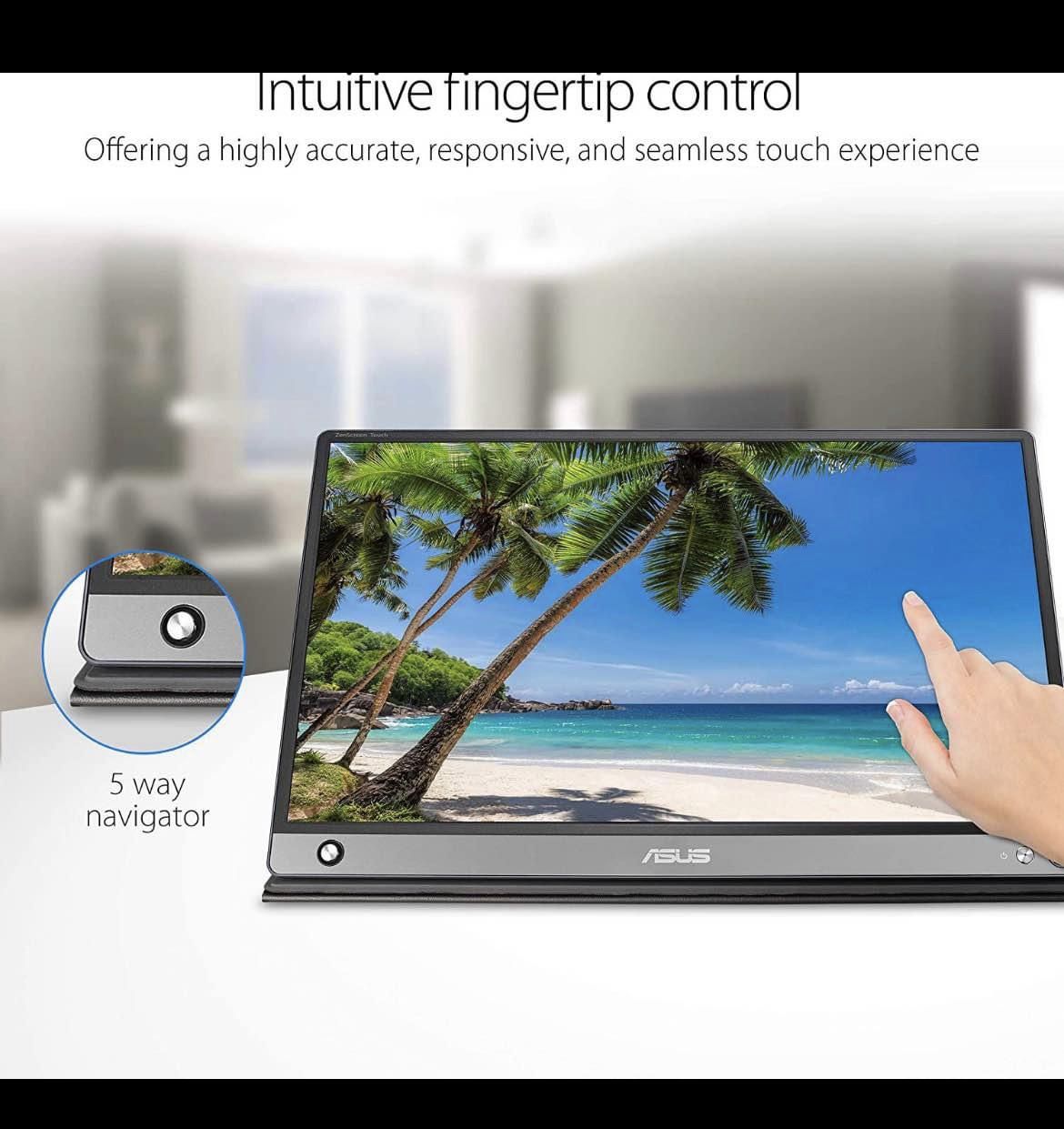 External Monitor Portable