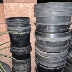 Such Of An Array Of Plastic Planters For Your Plants