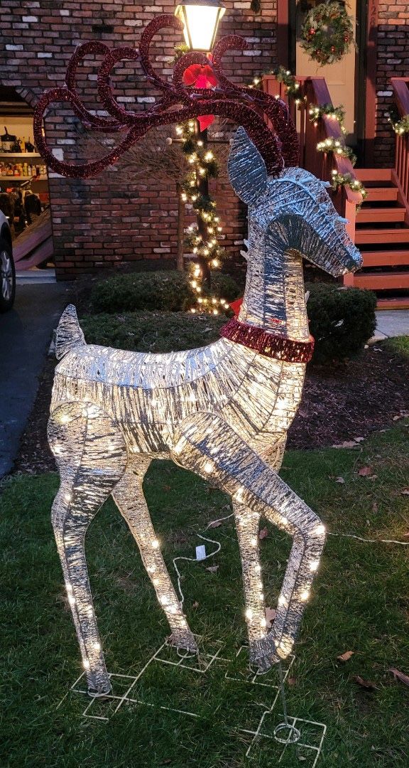 Reindeer