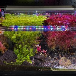 10 Gallon High-end Fish Tank 