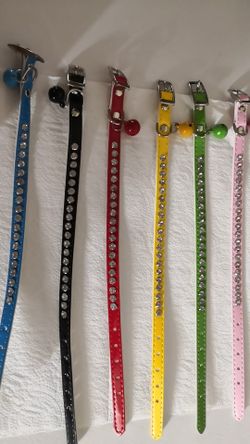 Dog or cat collar multi color