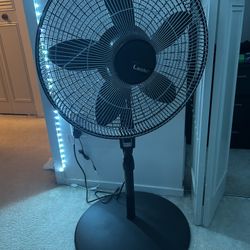 Fan