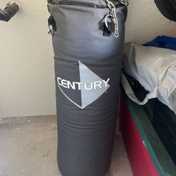 Punching Bag 