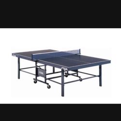 Ping Pong Table 