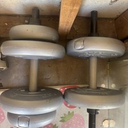 Weights 