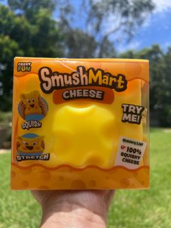 Cheese Squishy $15 FIRM or 3 for $40