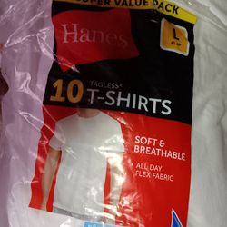 MENS NEW LARGE HANES T- SHIRTS 10 COUNT