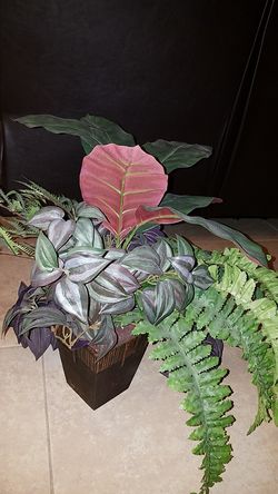 Decoration