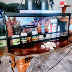 20 Gallon Tank W/ Supplies For Bearded Drageon!