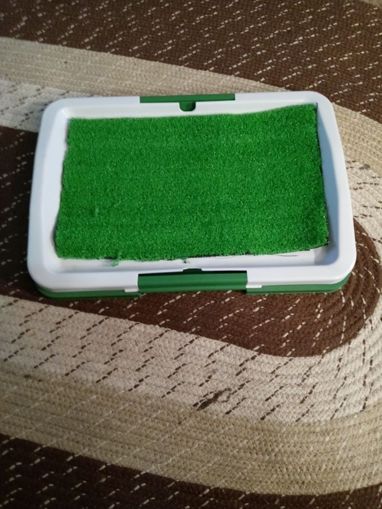 Potty trainer for puppy's