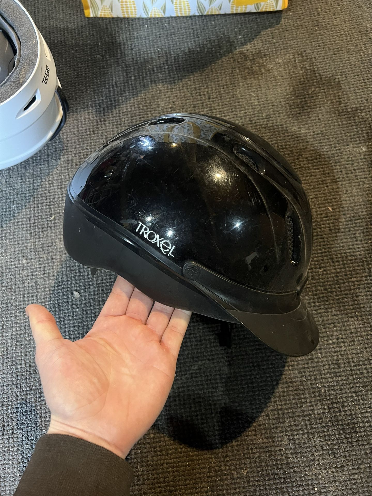 Horse Riding Helmet
