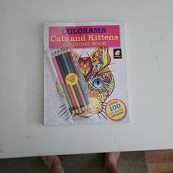 Coloring Book. Heavy Duty Pages And Colored Pencils. 2 Pages Colored But taken Out. Perforated Easy Rip Out Pages. 8x10 Size.