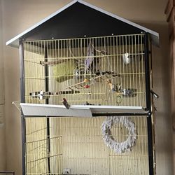 Large Bird Cage 