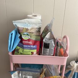 My guinea pig cage now I’m letting everything go