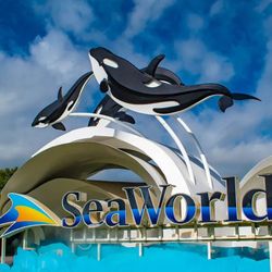  Seaworld One Day Pass Valid Till 6/15