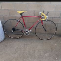 Vintage Schwinn Bike 