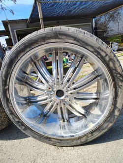 Rines Size 24
