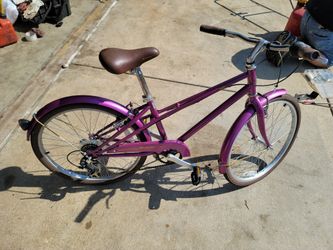 24 Inch schwinn