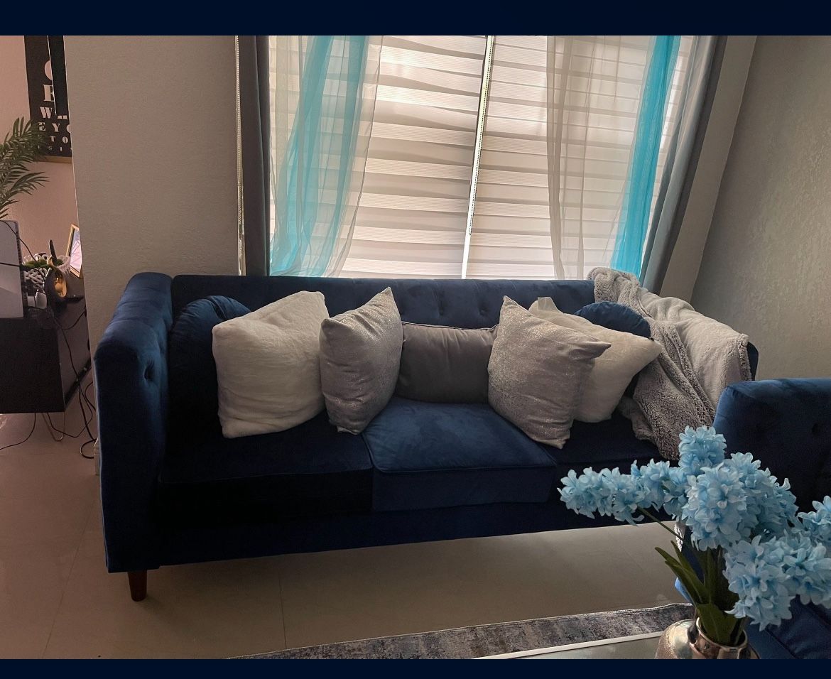 Velvet Blue Sofa (Living room)