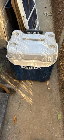 Igloo Cooler