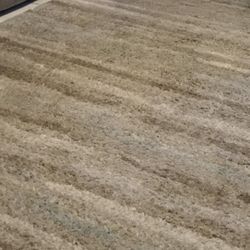 Beautiful Rug