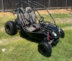 Pro Sport 150cc go kart