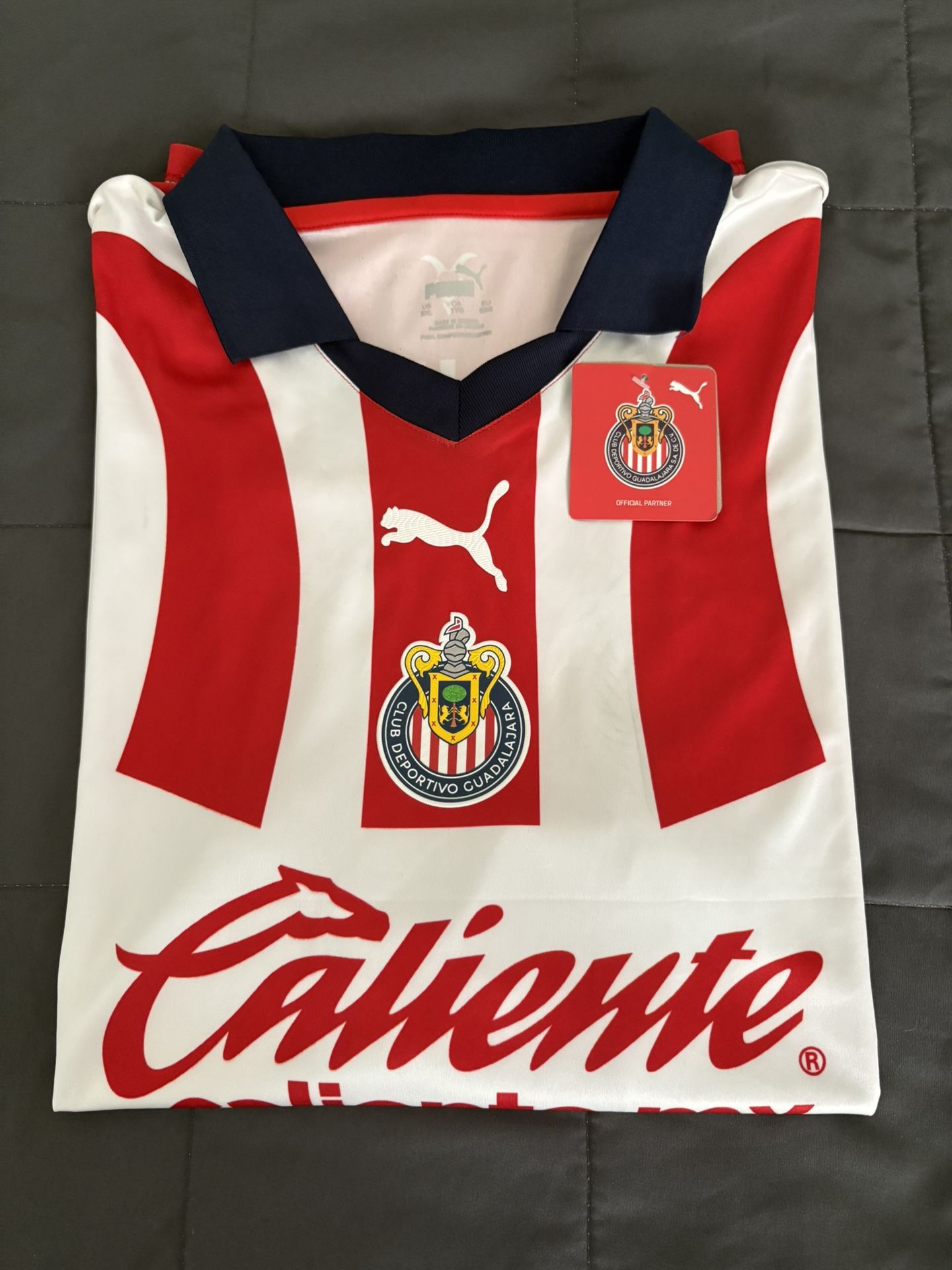 Puma Chivas 23/24 Home Authentic (Size • XL/L)