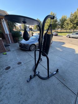 Everlast punching bag