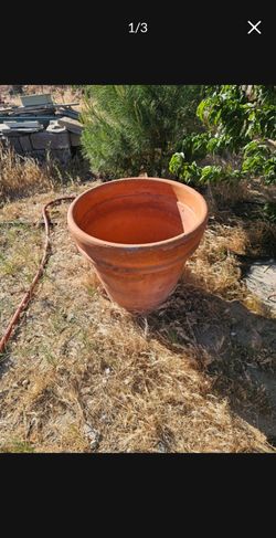 Terracota pot one available 2'tall 2' wide nice for decoration garden patio porch etc