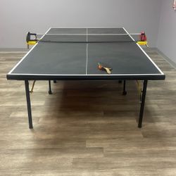 Ping Pong Table