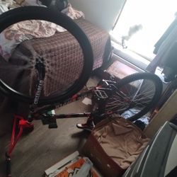 Big Ripper Shoot Me An Offer 