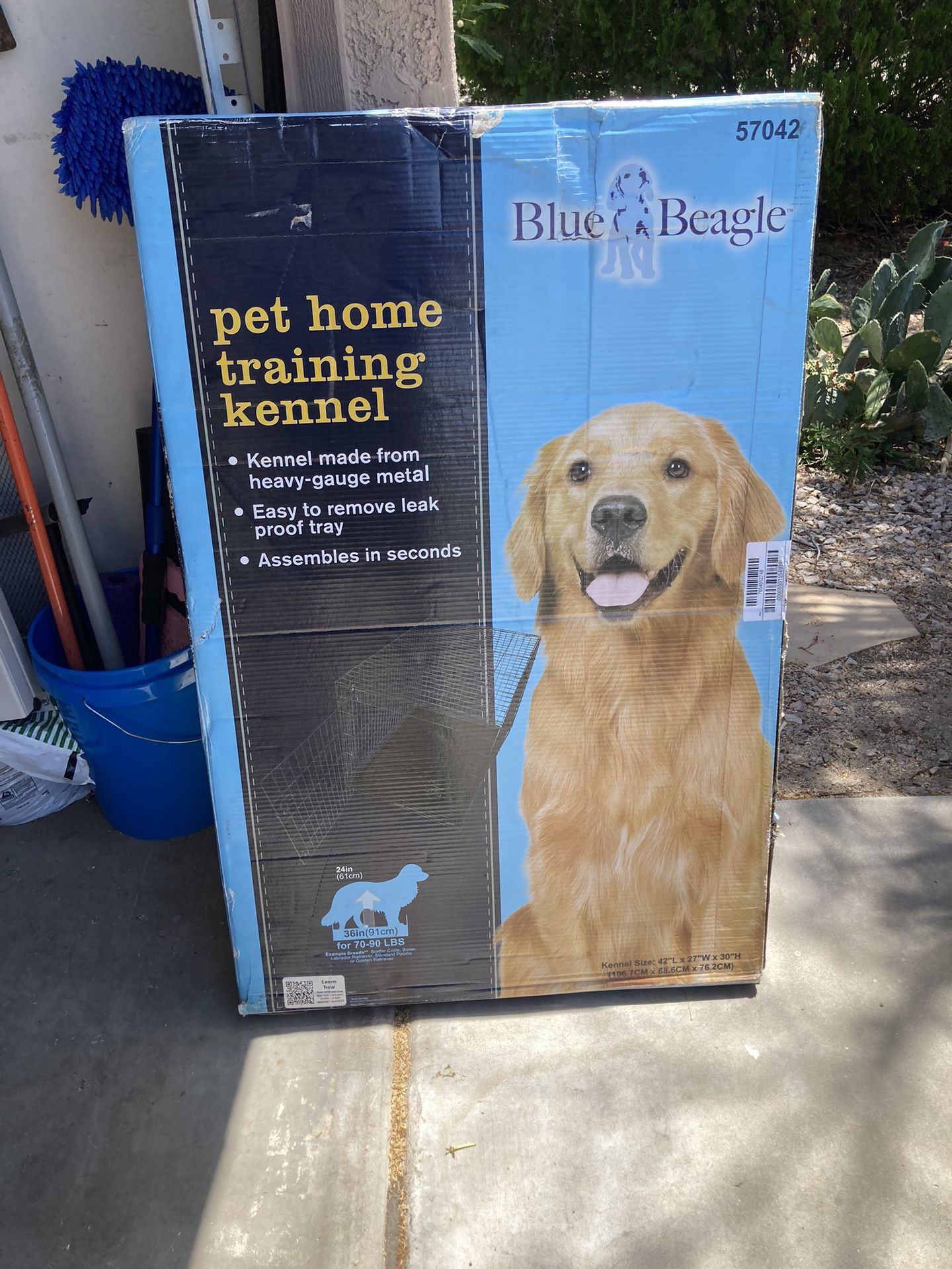 Kennel