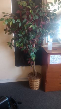 Artificial Tree