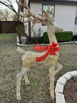 Crismas Deer